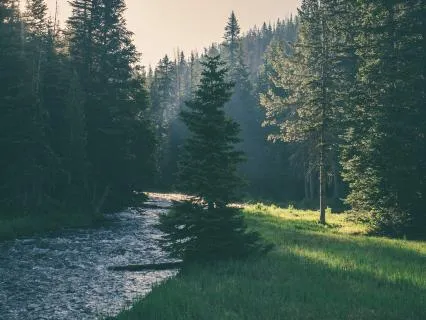 Yoga Nidra: Guided Relaxation For Stress, Anxiety & Insomnia