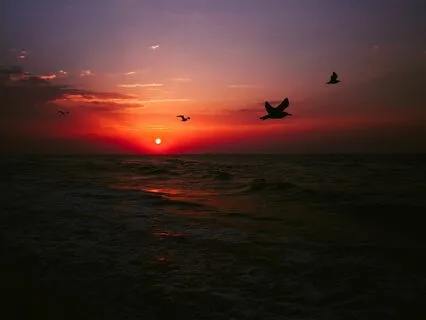 Yoga Nidra Sleep Meditation For Deep Rest