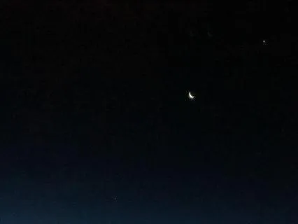 Yoga Nidra: Guided Stillness