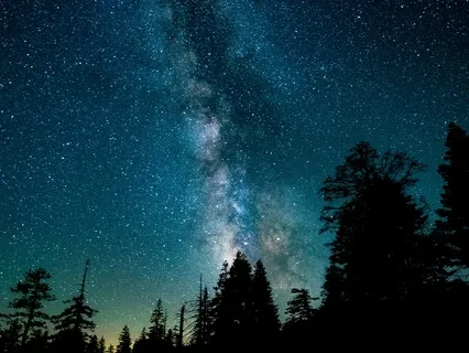 Yoga Nidra - Hatha Yoga Tradition Yogic Sleep