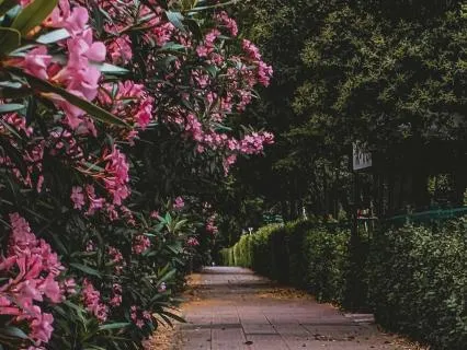 Yoga Nidra | Healing For A Grieving Heart