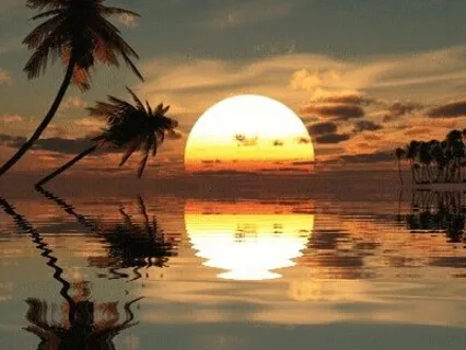 Yoga Nidra Heart Center in Golden Light