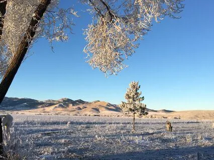Yoga Nidra: Ho'oponopono