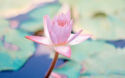 Yoga Nidra: Holding Space For Healing Rest