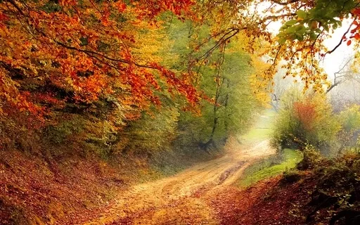 Yoga nidra, hösttema med musik