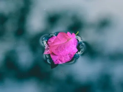 Yoga Nidra: I Am Enough