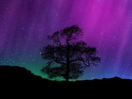 Yoga Nidra To Begin Building Self-Trust | Voice Only