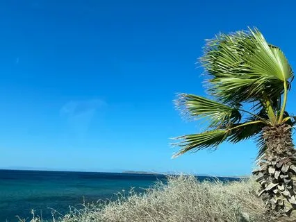 Yoga Nidra In Greek Language - Beginners