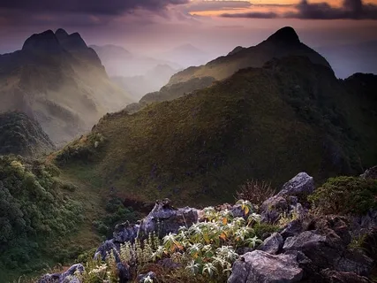 Yoga Nidra In Nature: Retreat To The Hub Of Your Heart