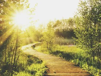 Yoga Nidra - Inhabiting Your Light