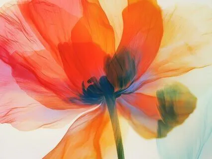 Yoga Nidra: Inner Beauty