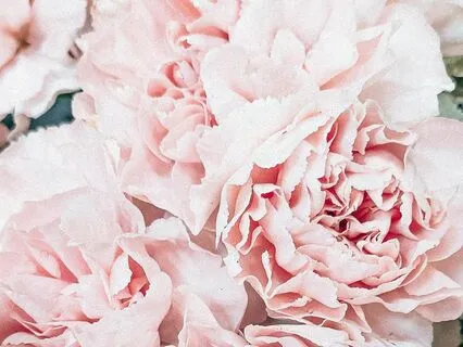 Yoga Nidra | Inner Growth | Potential | Flower Agate