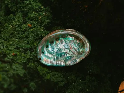 Yoga Nidra | Inner Radiance