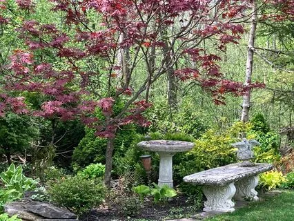 Yoga Nidra: Inner Refuge