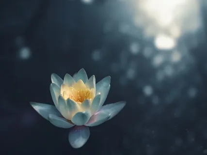 Yoga Nidra: Inspired Consciousness