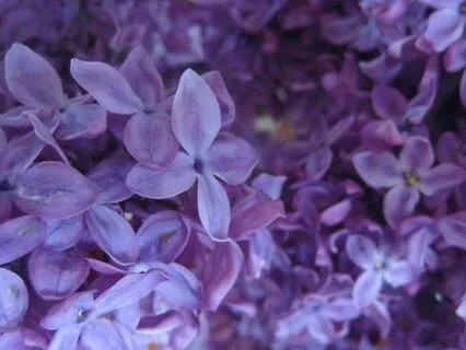 Yoga Nidra: Interstellar Rest