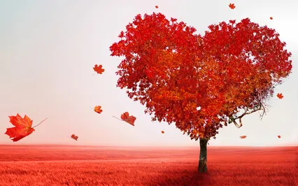 Yoga Nidra Intimate Connection