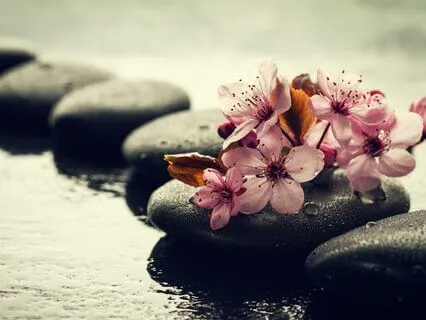 Yoga Nidra Into Sleep