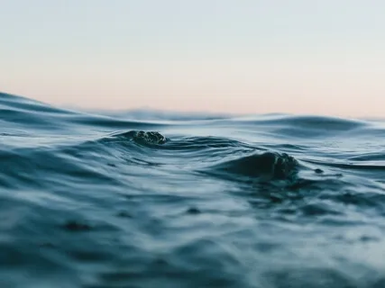 Yoga Nidra Inward Journey