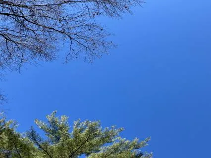 Yoga Nidra Journey For Feeling Grounded