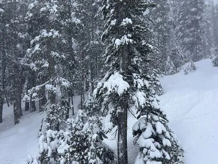 Yoga Nidra Journey (LIVE): A Constellation Of Rest