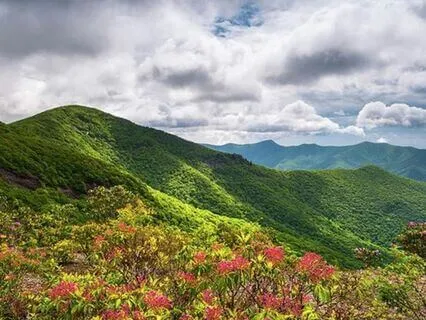 Yoga Nidra Journey Of Great Love