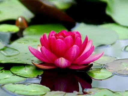 Yoga Nidra: Journey Of So Hum Breath