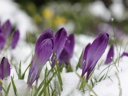 Yoga Nidra: Journey Through The Seasons