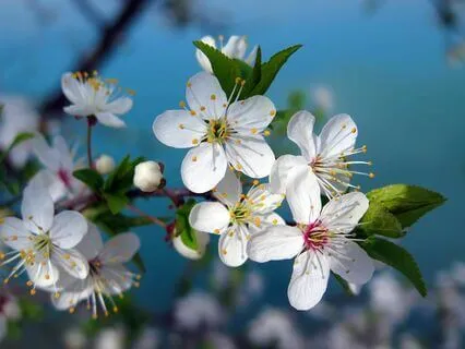 Yoga Nidra: Journey To Inner Stillness