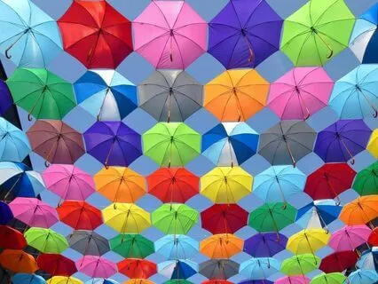 Yoga Nidra: Journey To Purify And Cleanse The Chakras