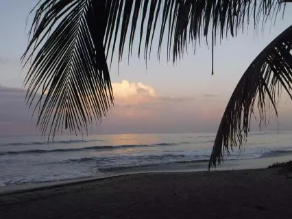 Yoga Nidra Journey With Soundscape