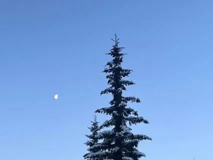 Yoga Nidra - Lemuria Full Moon Relaxation