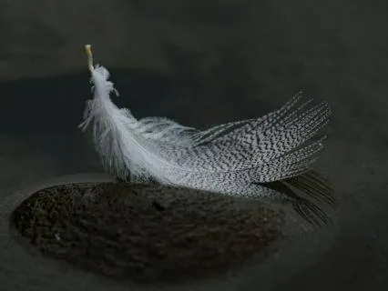 Yoga Nidra - Letting It Be