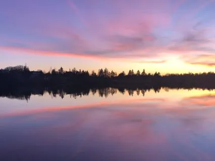 Yoga Nidra: Light In The Dark (Live)