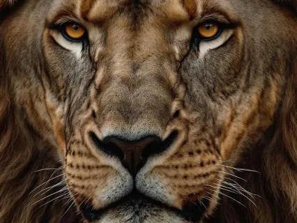 Yoga Nidra - Lions Gate Activation | Step Through The Portal