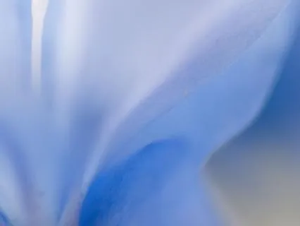 Yoga Nidra Live: Letting Go For Deep Peacefulness