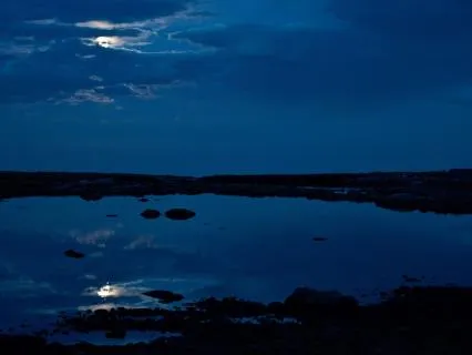 Yoga Nidra Live: Profound Stillness Body, Breath, And Mind