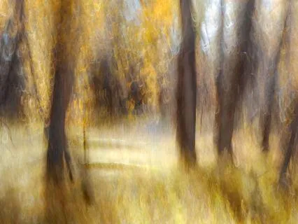 Yoga Nidra Live: Witnessing Awareness