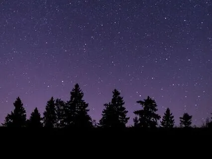 Yoga Nidra - Liver Meridian