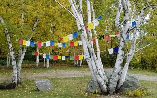 Yoga Nidra Loving Kindness Practice