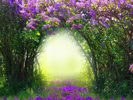 Yoga Nidra Meaning & Purpose