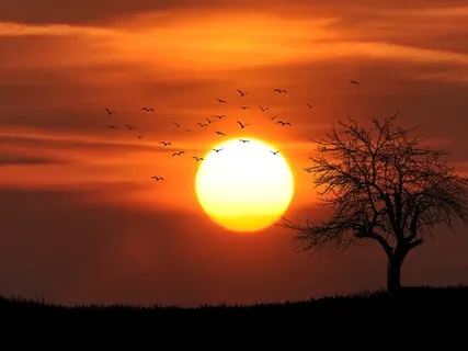 Yoga Nidra med musik