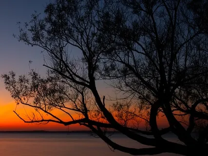 Yoga Nidra For Deep & Peaceful Sleep