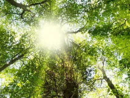 Yoga Nidra Meditation For Anxiety Relief
