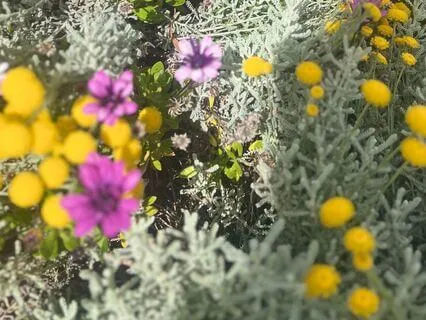 Yoga Nidra Meditation For Connecting With Your Higher Self