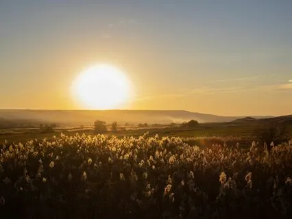 Yoga Nidra Meditation — Inner Smile 2