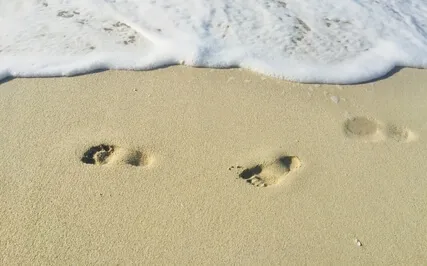 Yoga Nidra Meditation | The Observer