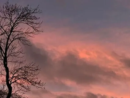 Yoga Nidra Meditation: Winter Within