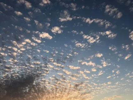 Yoga Nidra Meditation With Garden Visualization