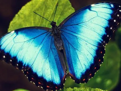 Yoga Nidra: Awaken Transformation & Deep Healing - 396Hz